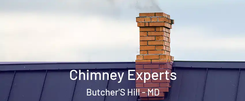 Chimney Experts Butcher'S Hill - MD