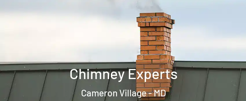 Chimney Experts Cameron Village - MD