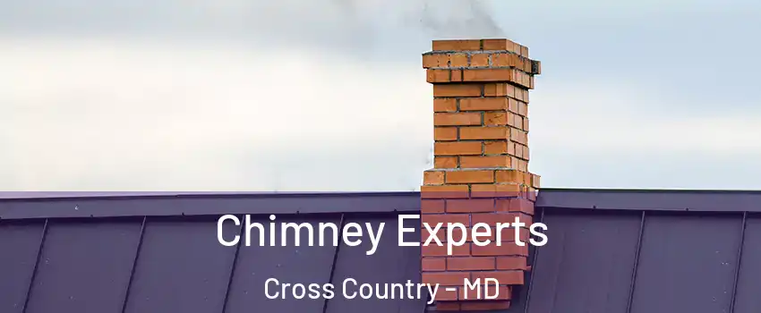 Chimney Experts Cross Country - MD