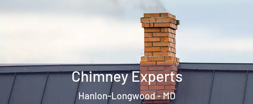 Chimney Experts Hanlon-Longwood - MD