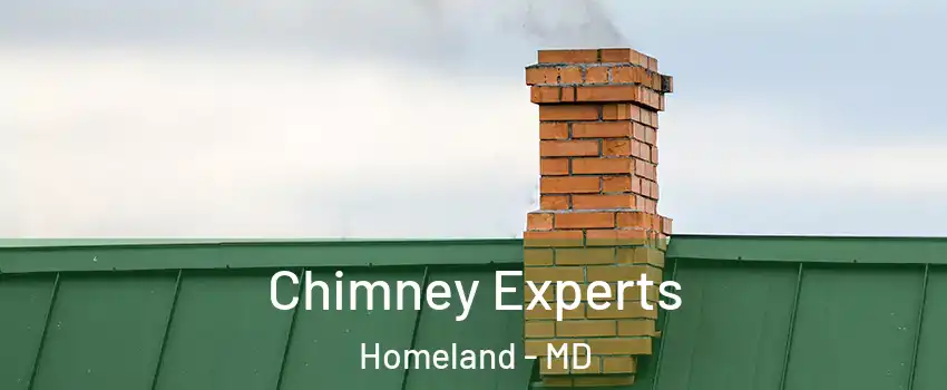 Chimney Experts Homeland - MD