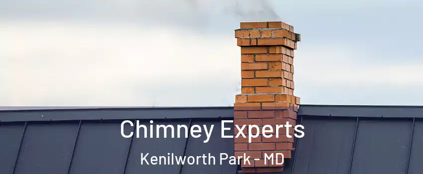 Chimney Experts Kenilworth Park - MD