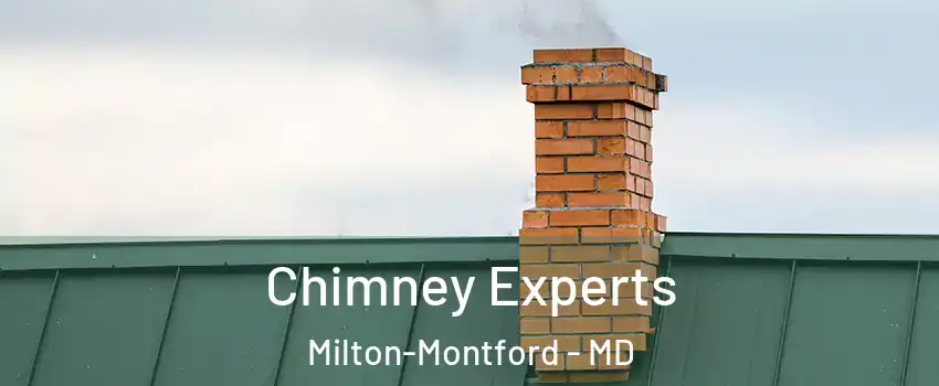 Chimney Experts Milton-Montford - MD