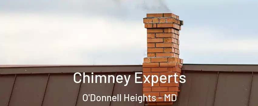 Chimney Experts O'Donnell Heights - MD