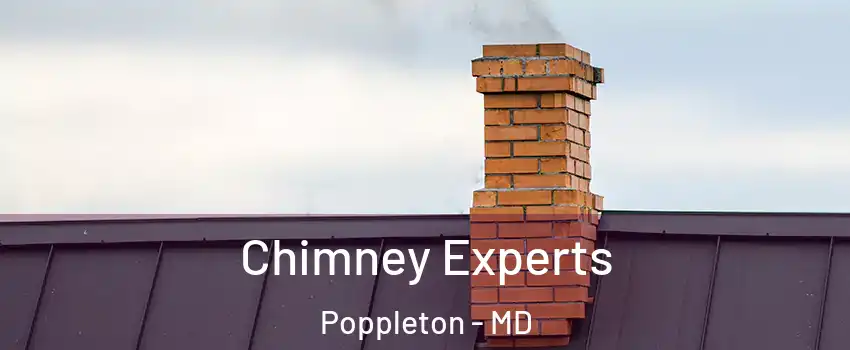 Chimney Experts Poppleton - MD