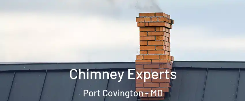 Chimney Experts Port Covington - MD