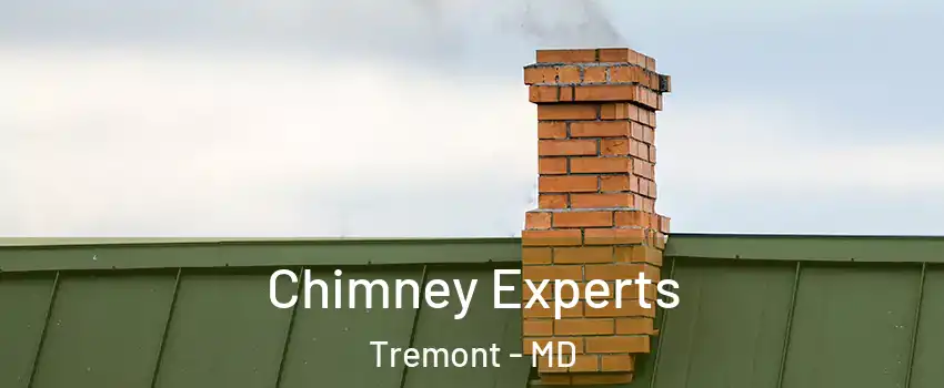 Chimney Experts Tremont - MD