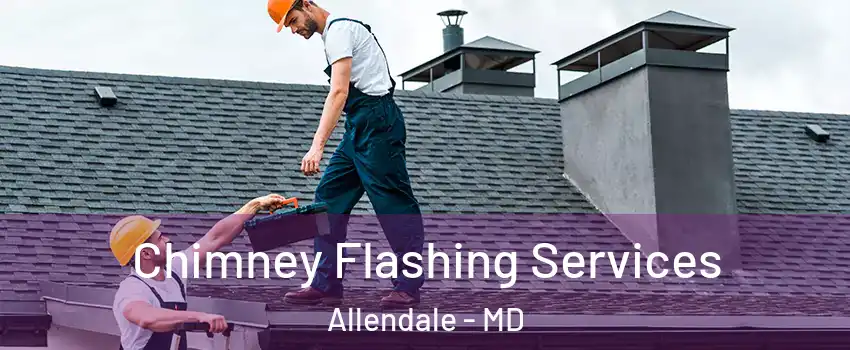 Chimney Flashing Services Allendale - MD