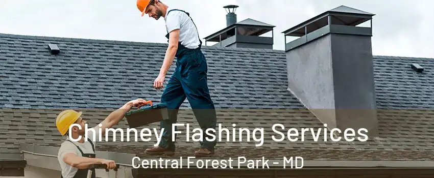 Chimney Flashing Services Central Forest Park - MD