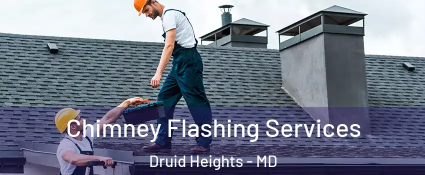 Chimney Flashing Services Druid Heights - MD