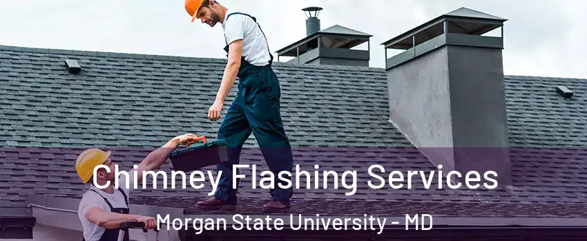 Chimney Flashing Services Morgan State University - MD