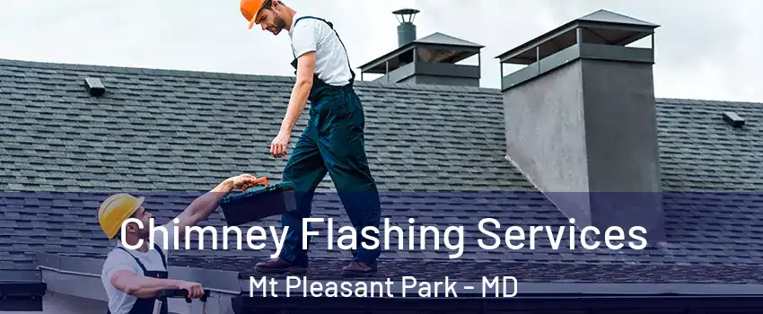 Chimney Flashing Services Mt Pleasant Park - MD