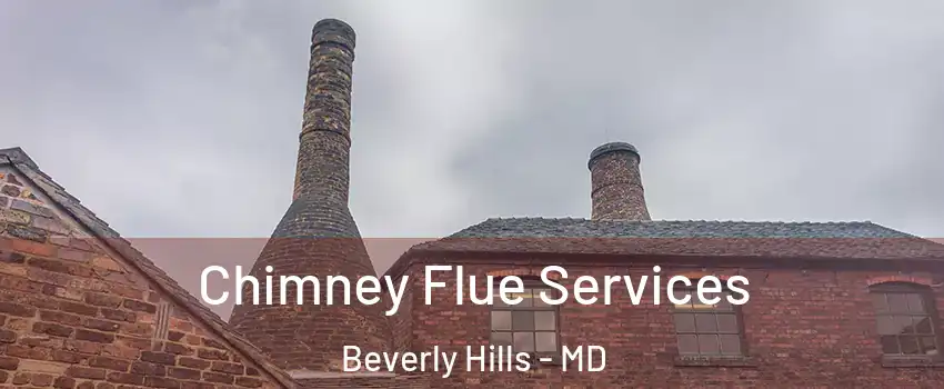 Chimney Flue Services Beverly Hills - MD