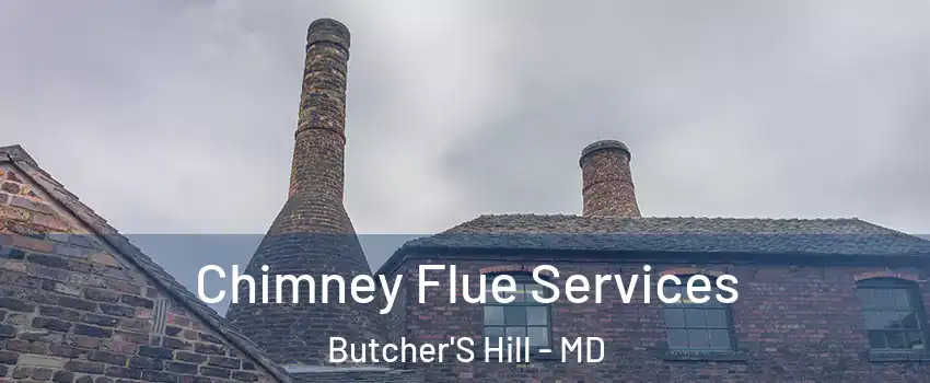 Chimney Flue Services Butcher'S Hill - MD