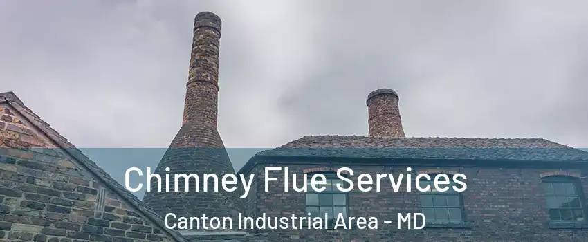 Chimney Flue Services Canton Industrial Area - MD