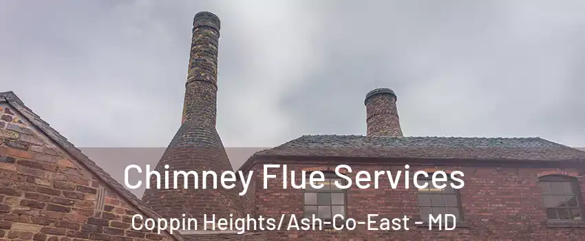 Chimney Flue Services Coppin Heights/Ash-Co-East - MD