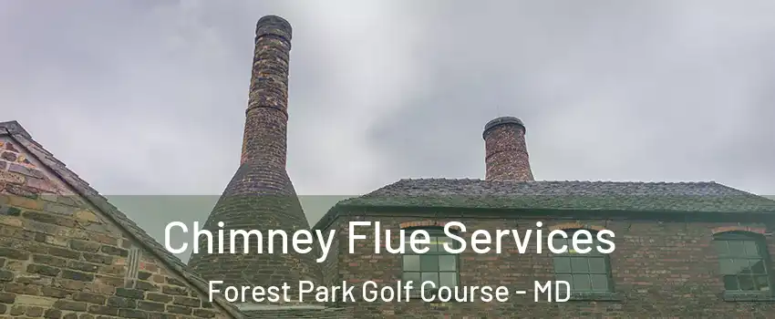 Chimney Flue Services Forest Park Golf Course - MD