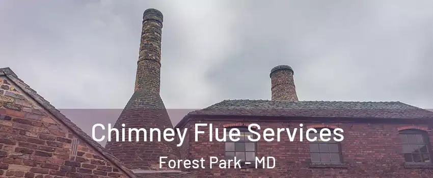 Chimney Flue Services Forest Park - MD