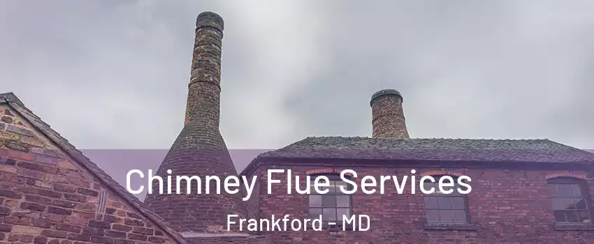 Chimney Flue Services Frankford - MD