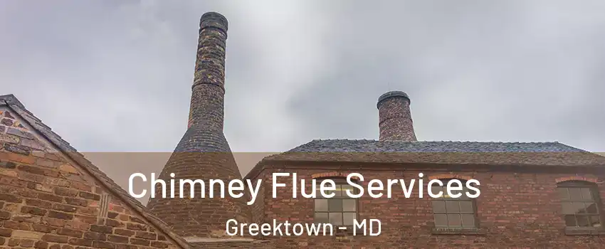 Chimney Flue Services Greektown - MD