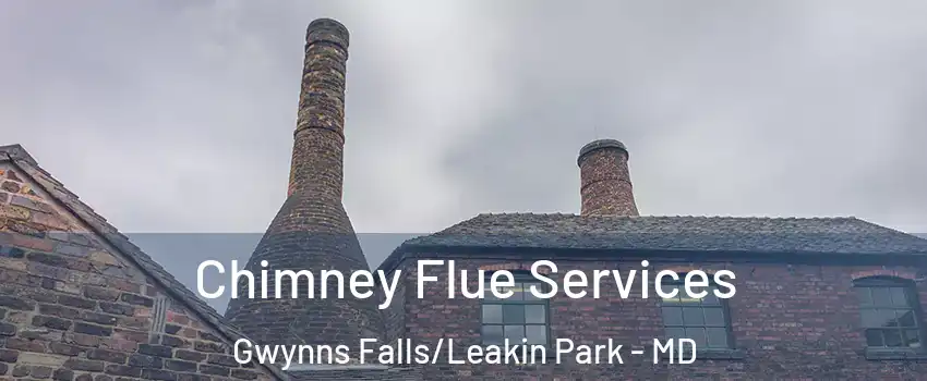 Chimney Flue Services Gwynns Falls/Leakin Park - MD