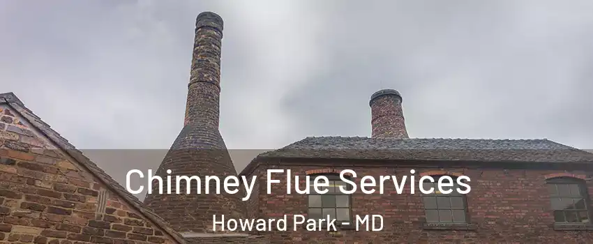 Chimney Flue Services Howard Park - MD