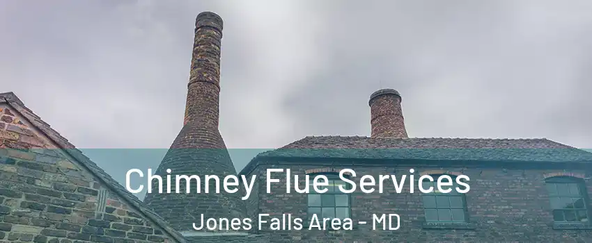 Chimney Flue Services Jones Falls Area - MD