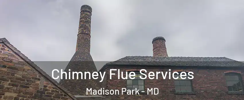 Chimney Flue Services Madison Park - MD