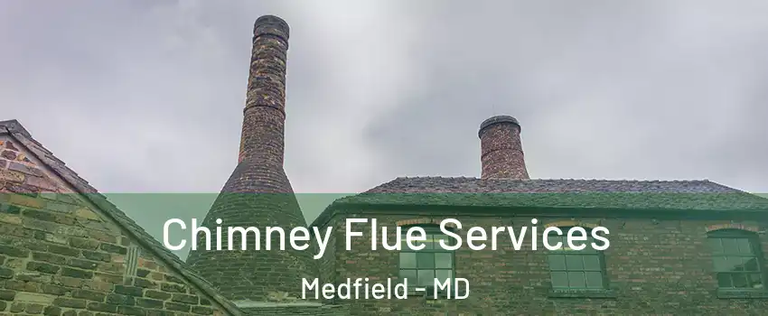 Chimney Flue Services Medfield - MD