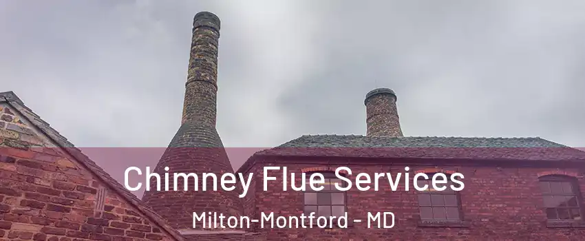 Chimney Flue Services Milton-Montford - MD