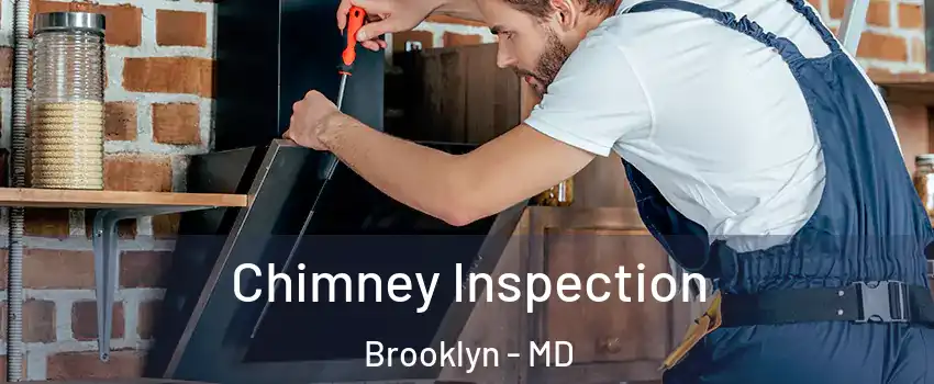 Chimney Inspection Brooklyn - MD