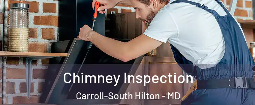 Chimney Inspection Carroll-South Hilton - MD