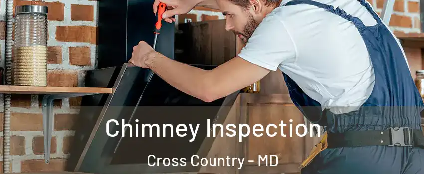 Chimney Inspection Cross Country - MD