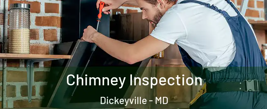 Chimney Inspection Dickeyville - MD