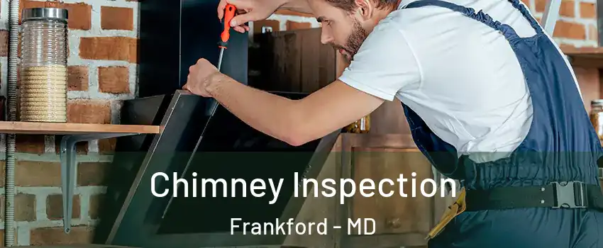 Chimney Inspection Frankford - MD