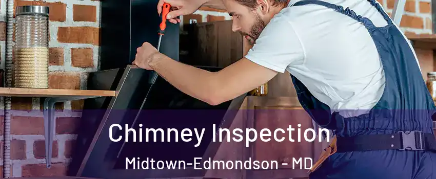 Chimney Inspection Midtown-Edmondson - MD