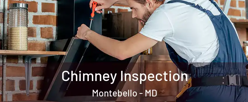 Chimney Inspection Montebello - MD