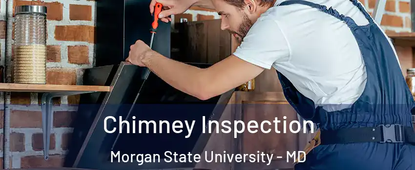 Chimney Inspection Morgan State University - MD