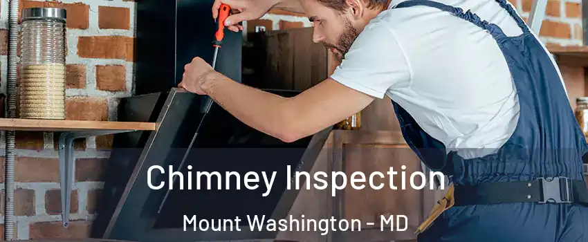 Chimney Inspection Mount Washington - MD