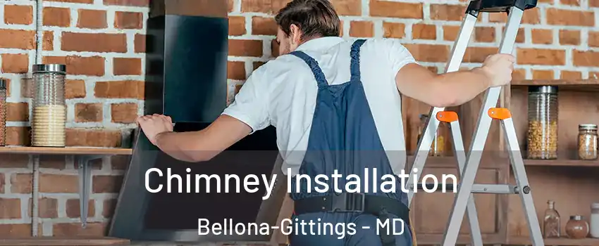 Chimney Installation Bellona-Gittings - MD