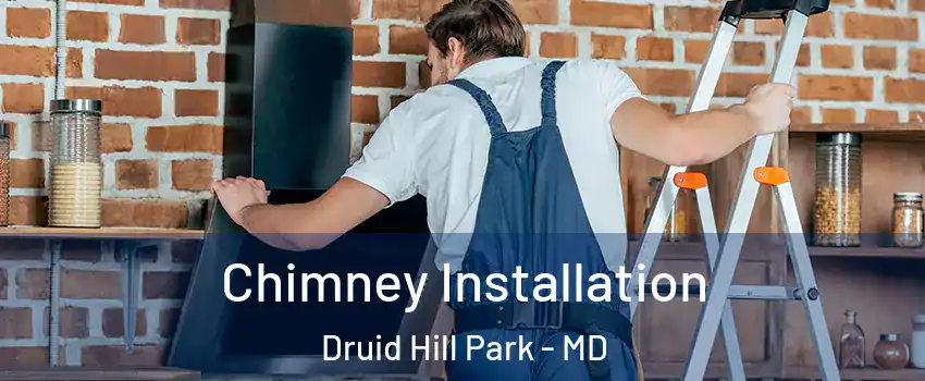 Chimney Installation Druid Hill Park - MD