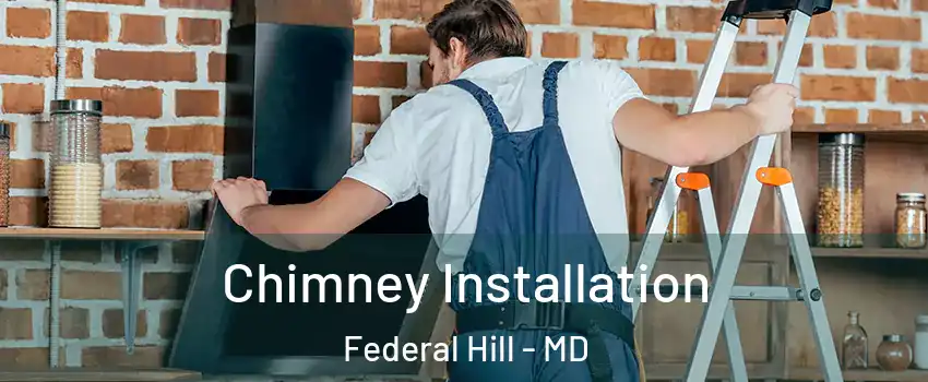 Chimney Installation Federal Hill - MD