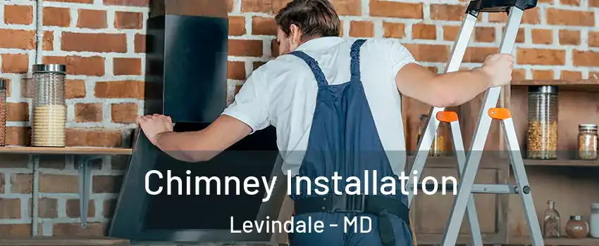 Chimney Installation Levindale - MD