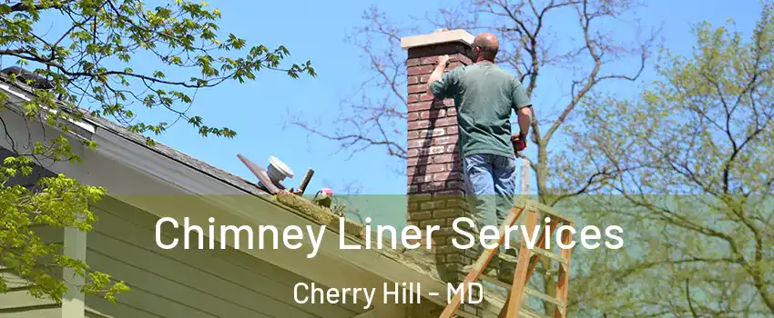 Chimney Liner Services Cherry Hill - MD