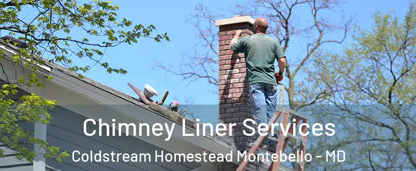 Chimney Liner Services Coldstream Homestead Montebello - MD