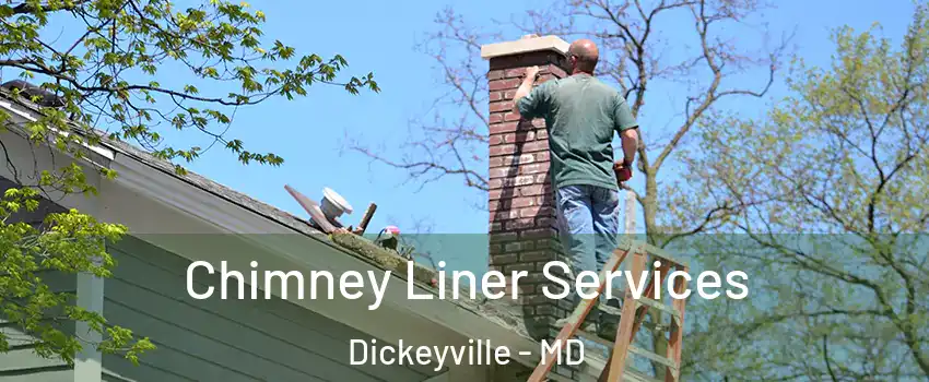 Chimney Liner Services Dickeyville - MD