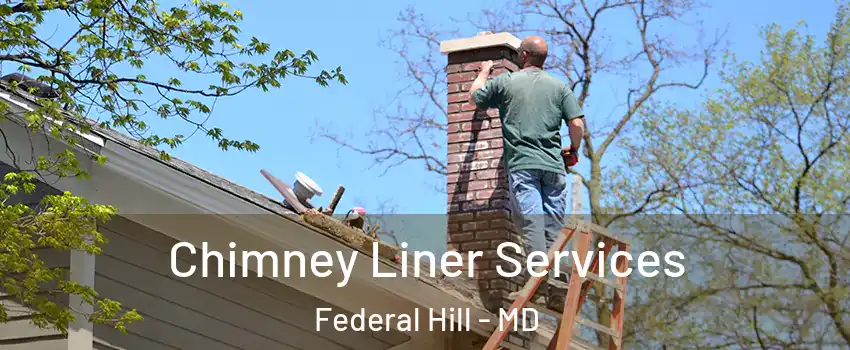 Chimney Liner Services Federal Hill - MD