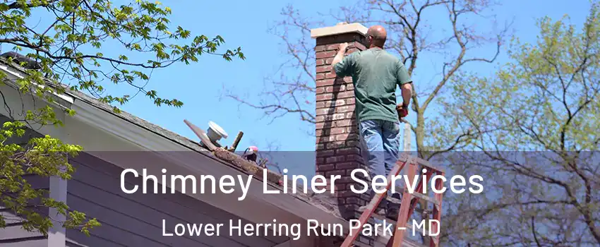 Chimney Liner Services Lower Herring Run Park - MD