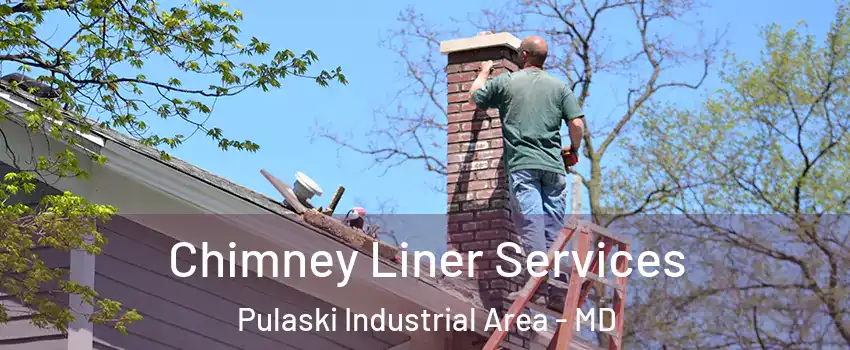 Chimney Liner Services Pulaski Industrial Area - MD