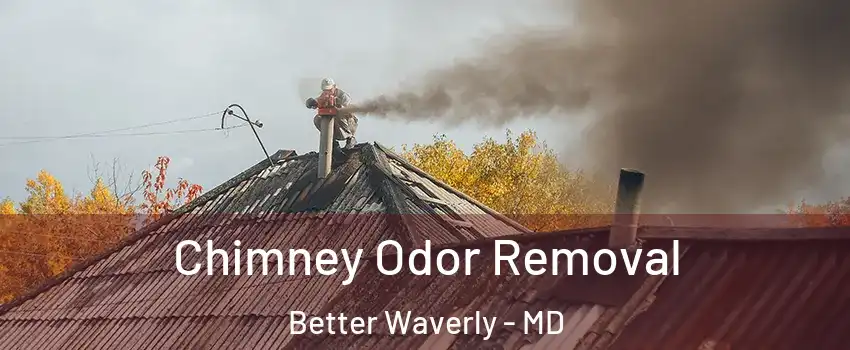 Chimney Odor Removal Better Waverly - MD